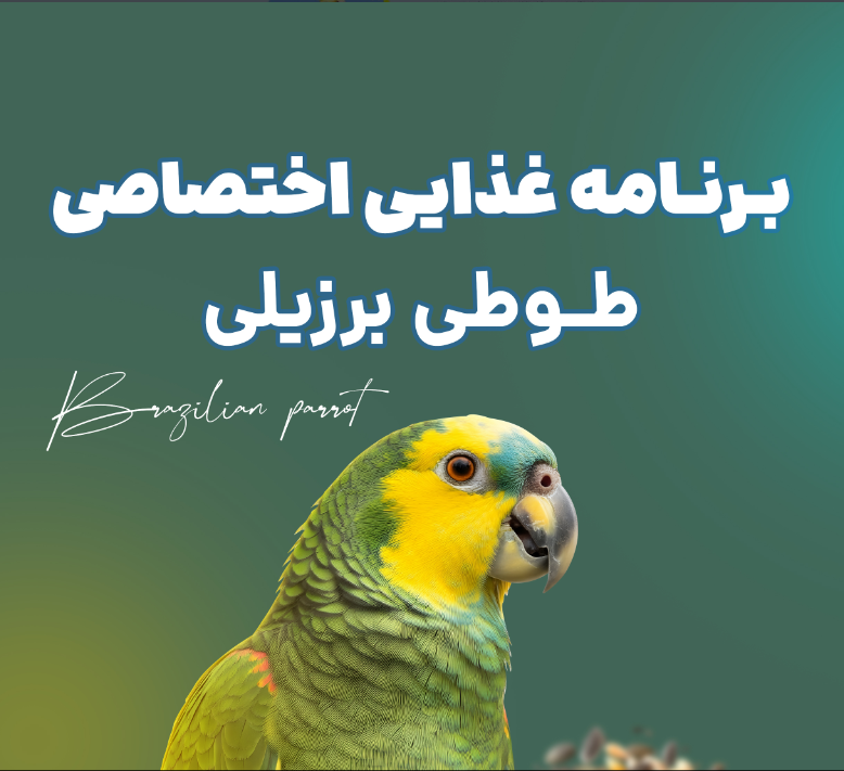 برنامه غذایی طوطی برزیلی (دانلود فوری)